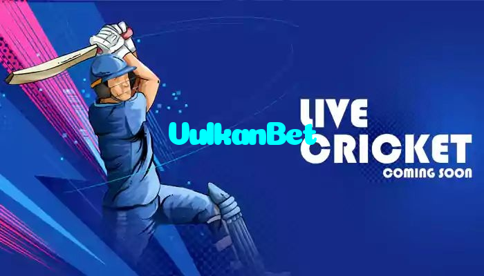 available types of VulkanBet bet including pre-match live express and system bets